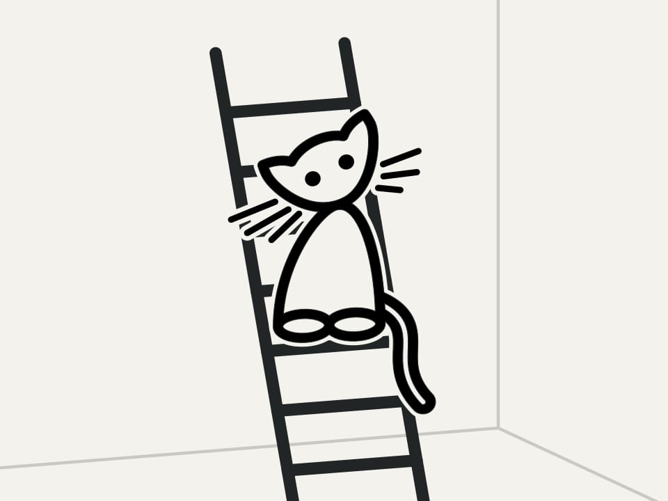 Cat on a ladder / Sketches // Mathematical Etudes